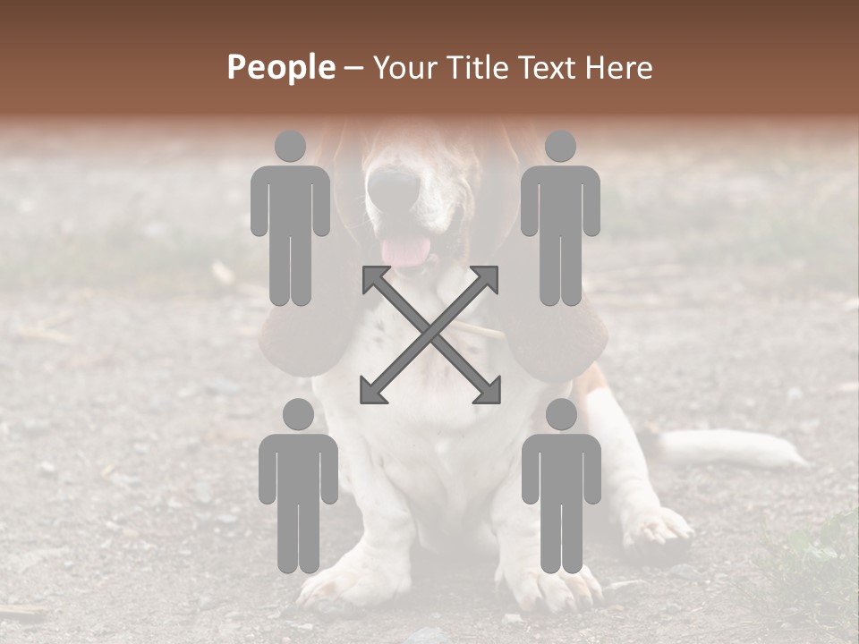Long Canine Basset PowerPoint Template