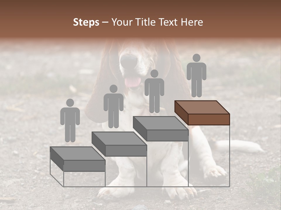 Long Canine Basset PowerPoint Template