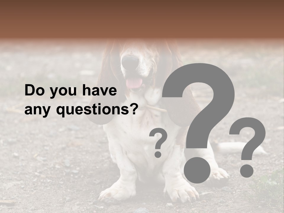 Long Canine Basset PowerPoint Template