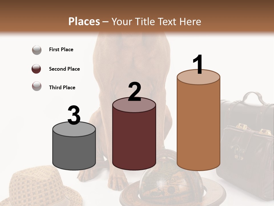 Globe Money Passport PowerPoint Template