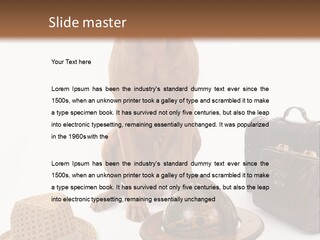 Globe Money Passport PowerPoint Template