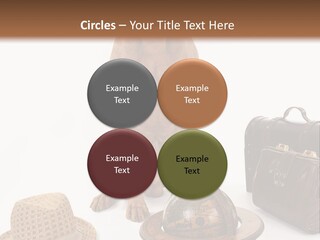 Globe Money Passport PowerPoint Template