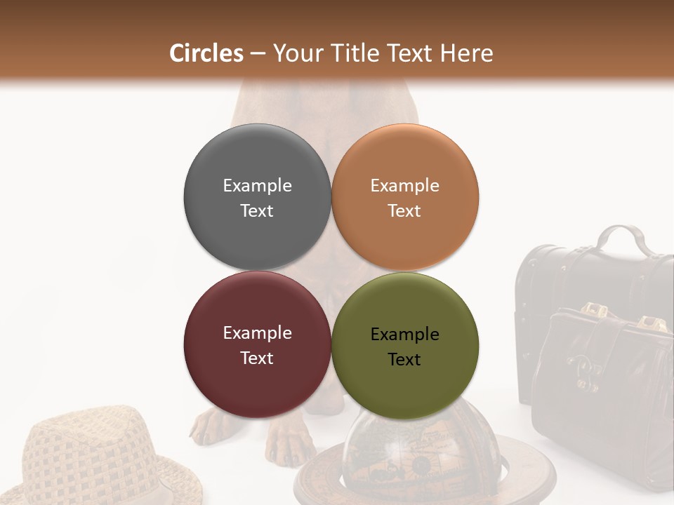 Globe Money Passport PowerPoint Template