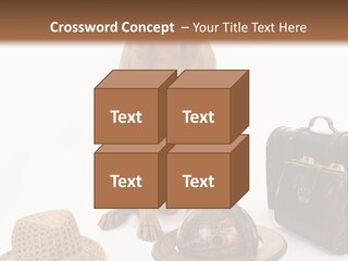 Globe Money Passport PowerPoint Template