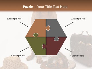 Globe Money Passport PowerPoint Template