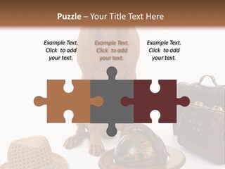 Globe Money Passport PowerPoint Template