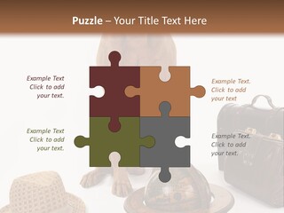 Globe Money Passport PowerPoint Template