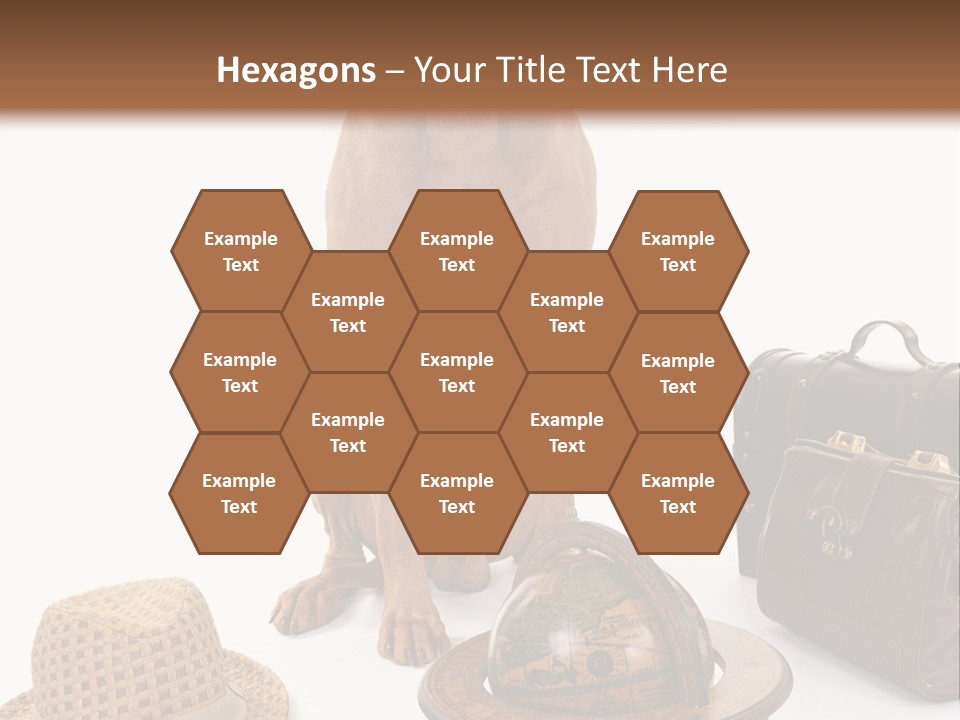 Globe Money Passport PowerPoint Template