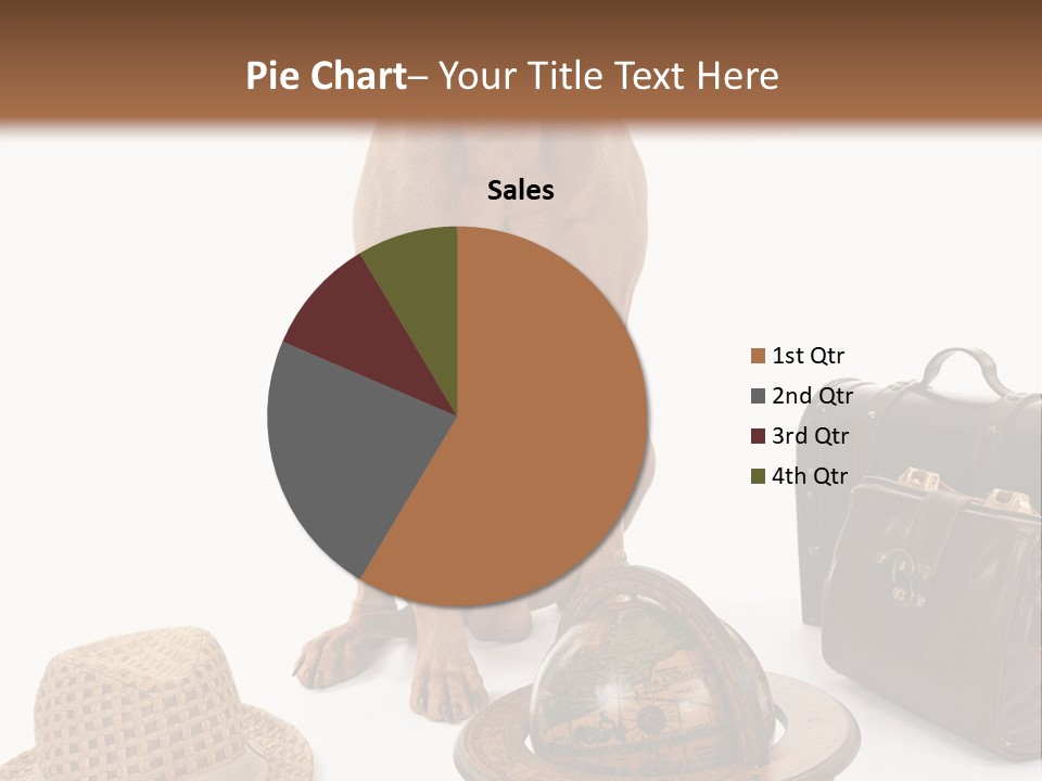 Globe Money Passport PowerPoint Template
