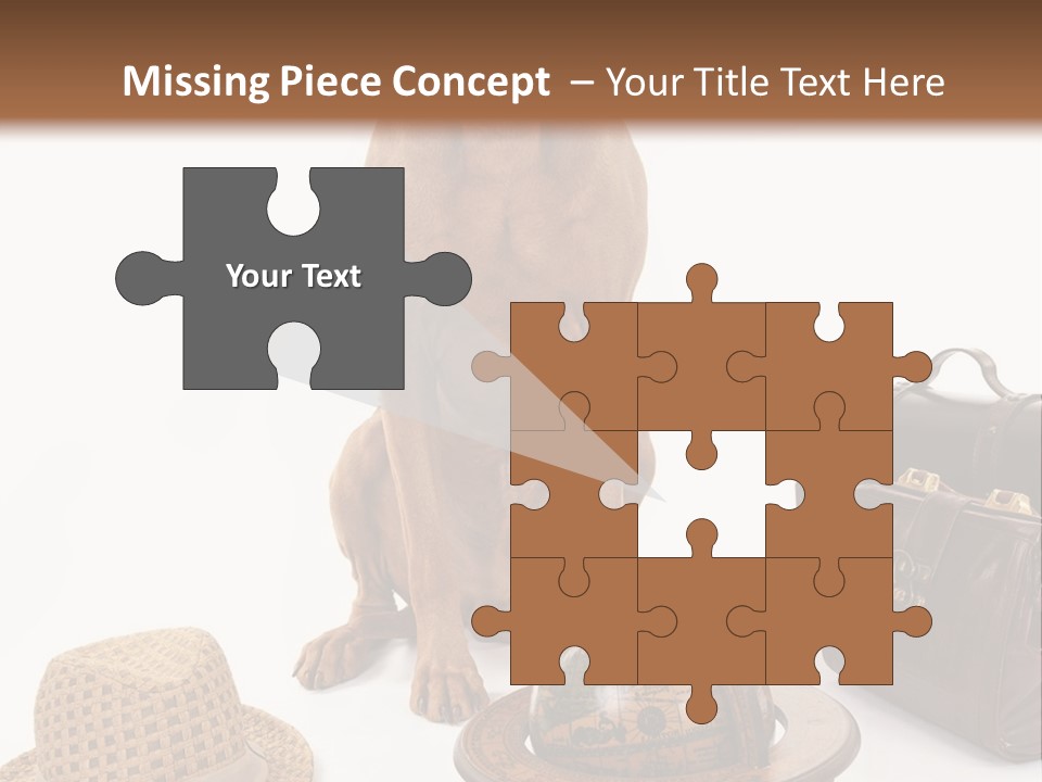 Globe Money Passport PowerPoint Template