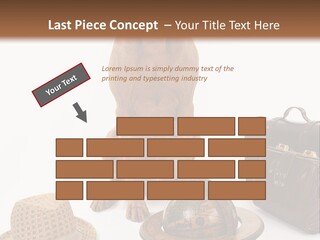 Globe Money Passport PowerPoint Template