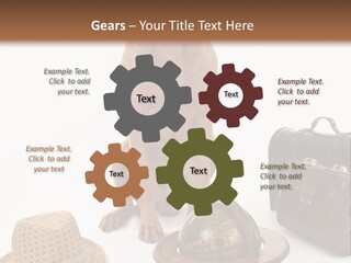 Globe Money Passport PowerPoint Template