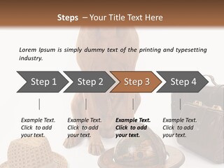 Globe Money Passport PowerPoint Template