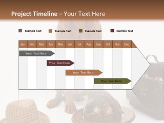 Globe Money Passport PowerPoint Template