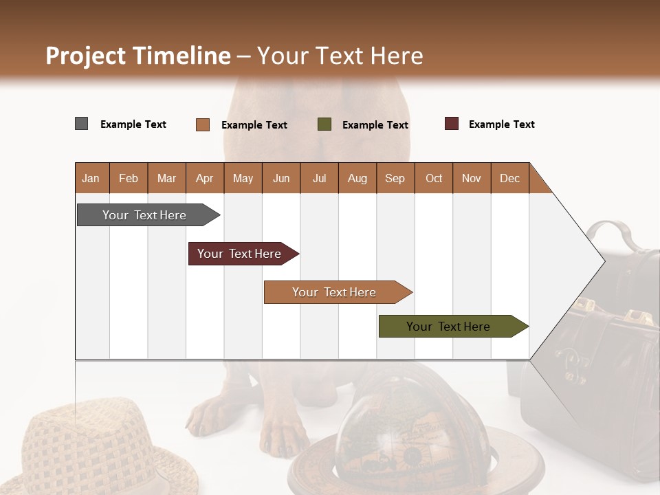 Globe Money Passport PowerPoint Template