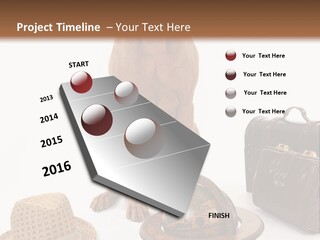 Globe Money Passport PowerPoint Template