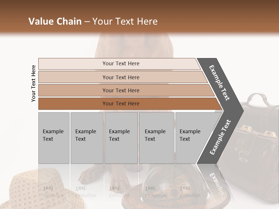 Globe Money Passport PowerPoint Template