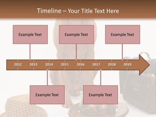 Globe Money Passport PowerPoint Template