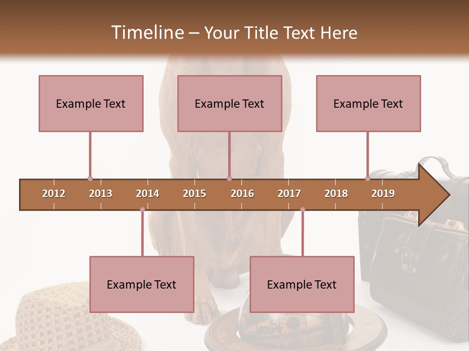 Globe Money Passport PowerPoint Template