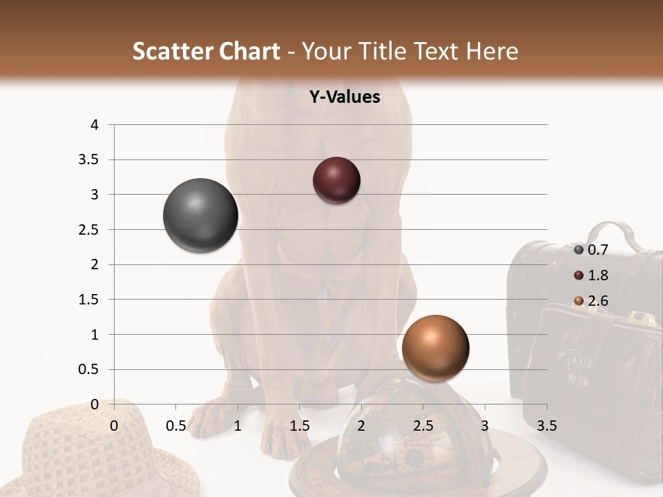 Globe Money Passport PowerPoint Template