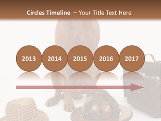 Globe Money Passport PowerPoint Template