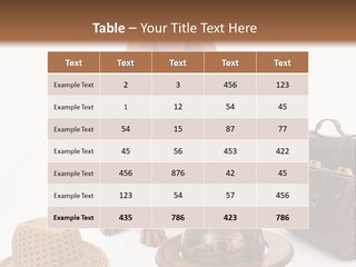 Globe Money Passport PowerPoint Template