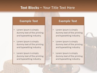 Globe Money Passport PowerPoint Template