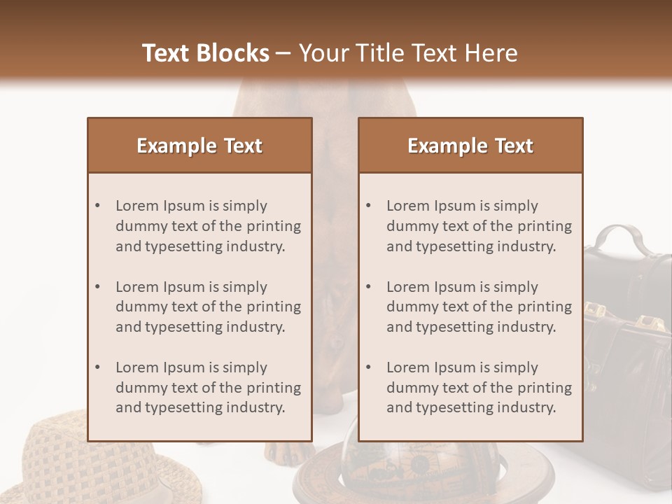 Globe Money Passport PowerPoint Template