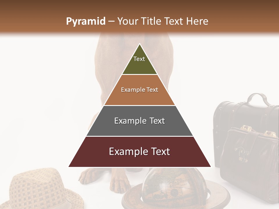 Globe Money Passport PowerPoint Template