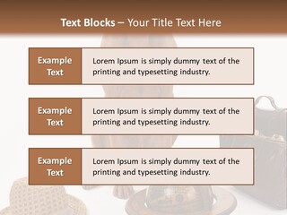 Globe Money Passport PowerPoint Template