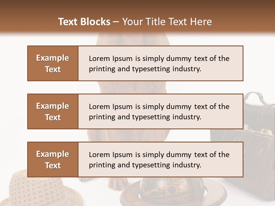 Globe Money Passport PowerPoint Template