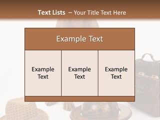 Globe Money Passport PowerPoint Template