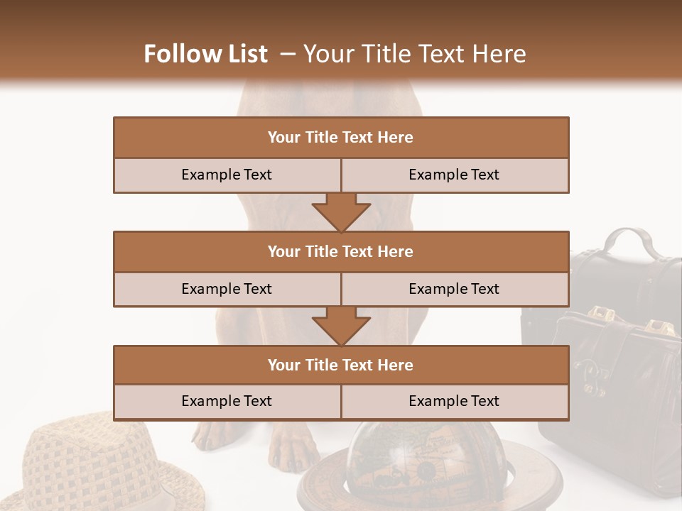 Globe Money Passport PowerPoint Template