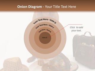 Globe Money Passport PowerPoint Template