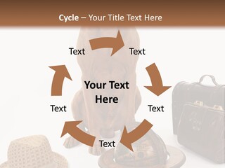 Globe Money Passport PowerPoint Template