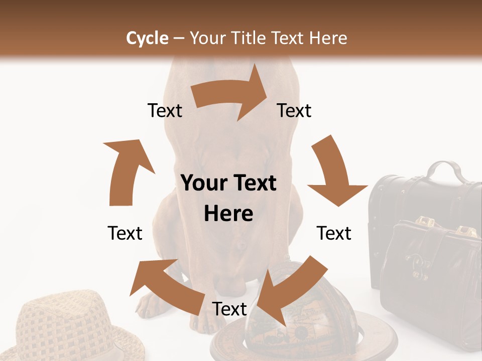 Globe Money Passport PowerPoint Template