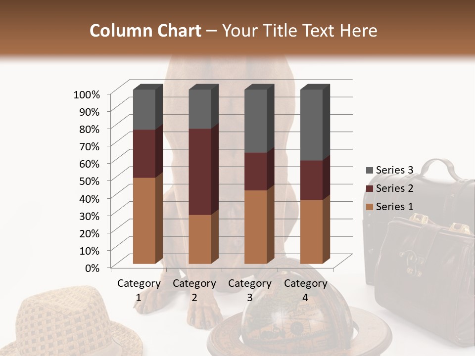 Globe Money Passport PowerPoint Template