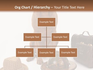 Globe Money Passport PowerPoint Template
