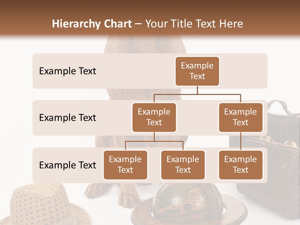 Globe Money Passport PowerPoint Template