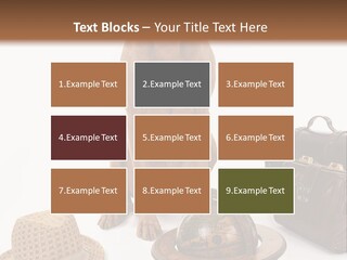 Globe Money Passport PowerPoint Template