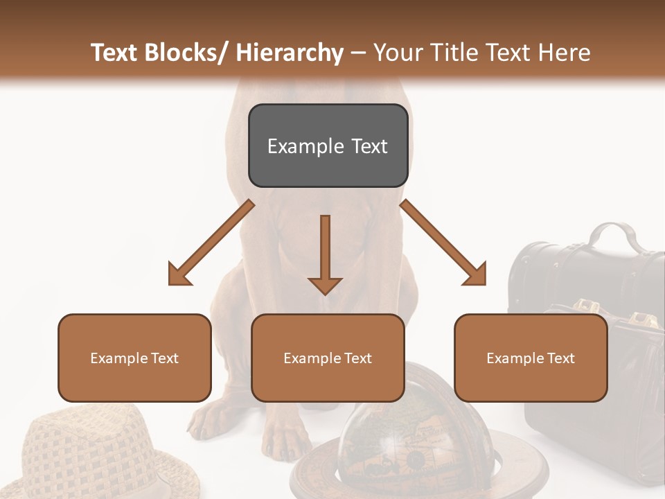 Globe Money Passport PowerPoint Template