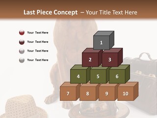 Globe Money Passport PowerPoint Template