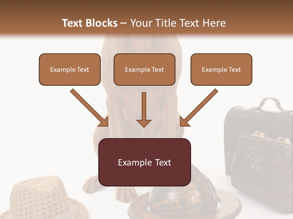 Globe Money Passport PowerPoint Template