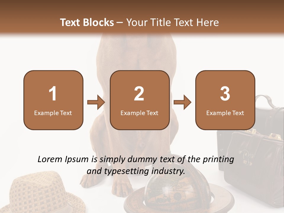 Globe Money Passport PowerPoint Template