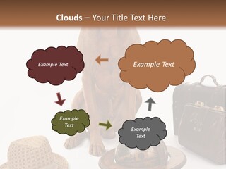 Globe Money Passport PowerPoint Template