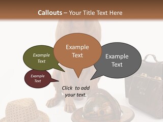 Globe Money Passport PowerPoint Template