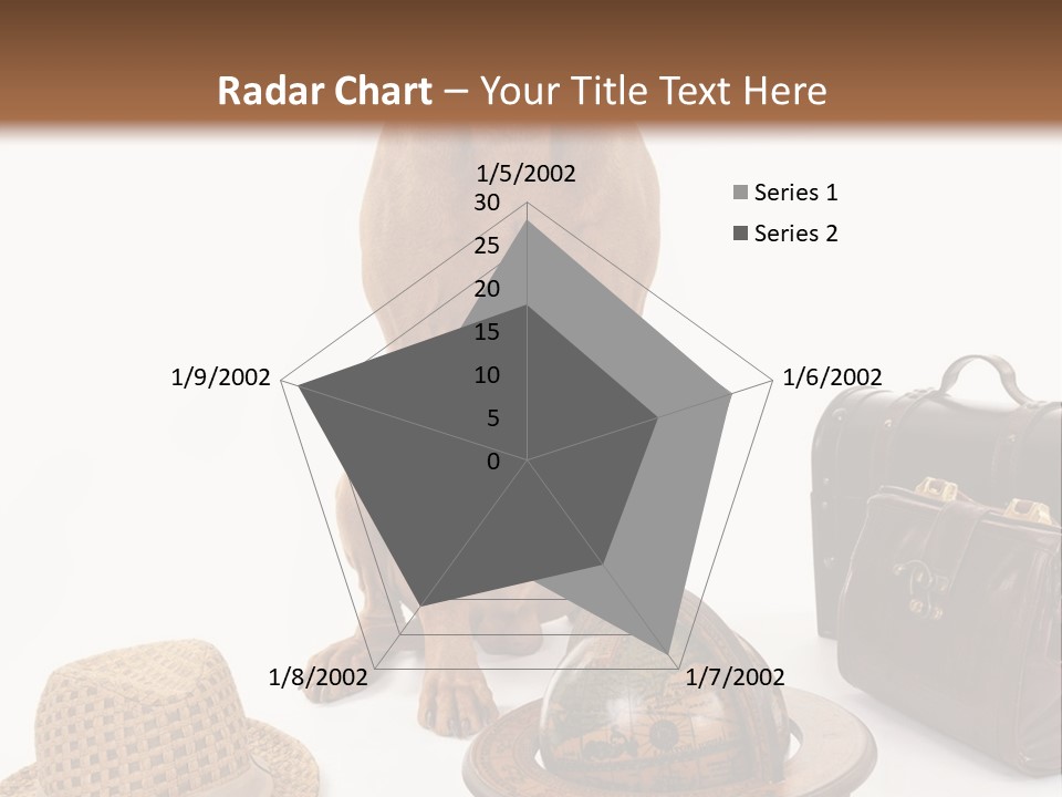 Globe Money Passport PowerPoint Template