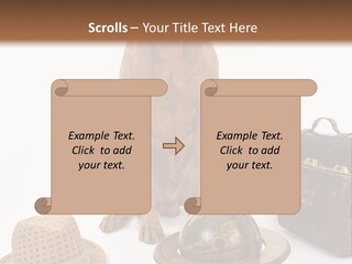 Globe Money Passport PowerPoint Template