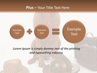 Globe Money Passport PowerPoint Template