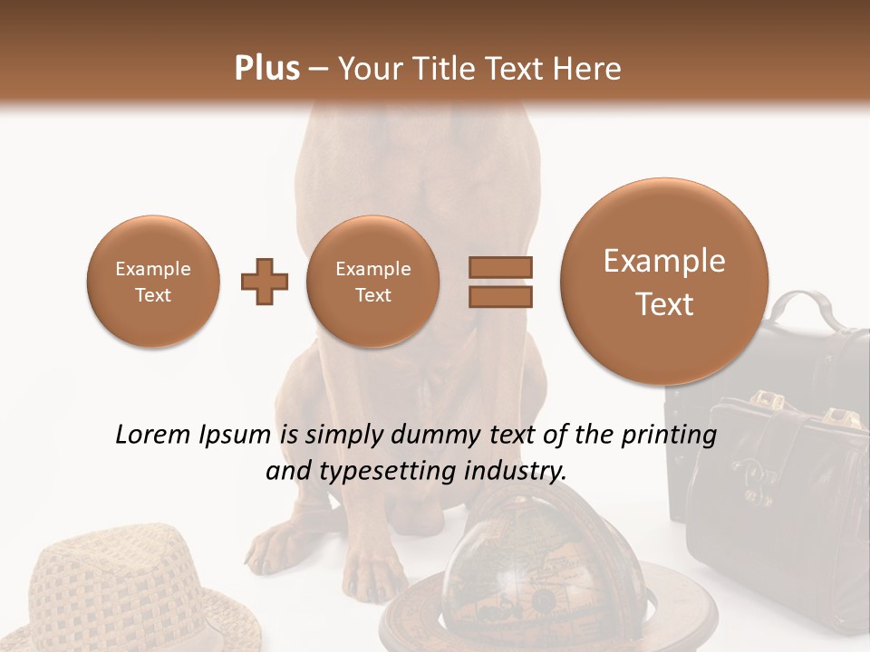 Globe Money Passport PowerPoint Template